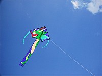 2008 KiteFestival-024.jpg
